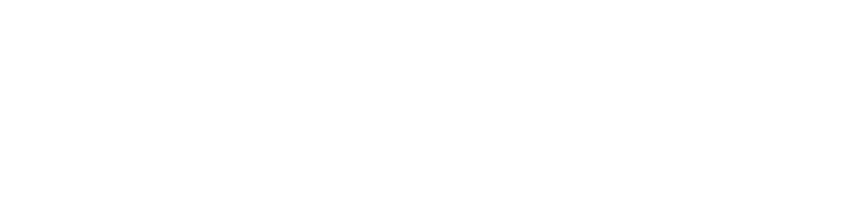 pk logo white